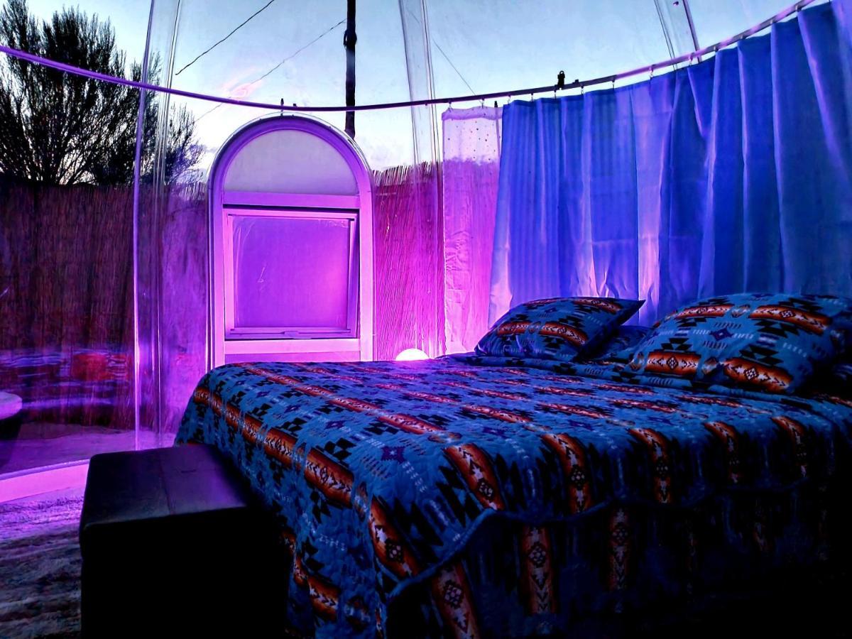 קאמפ וורדה Stargazing Retreats Homestay מראה חיצוני תמונה